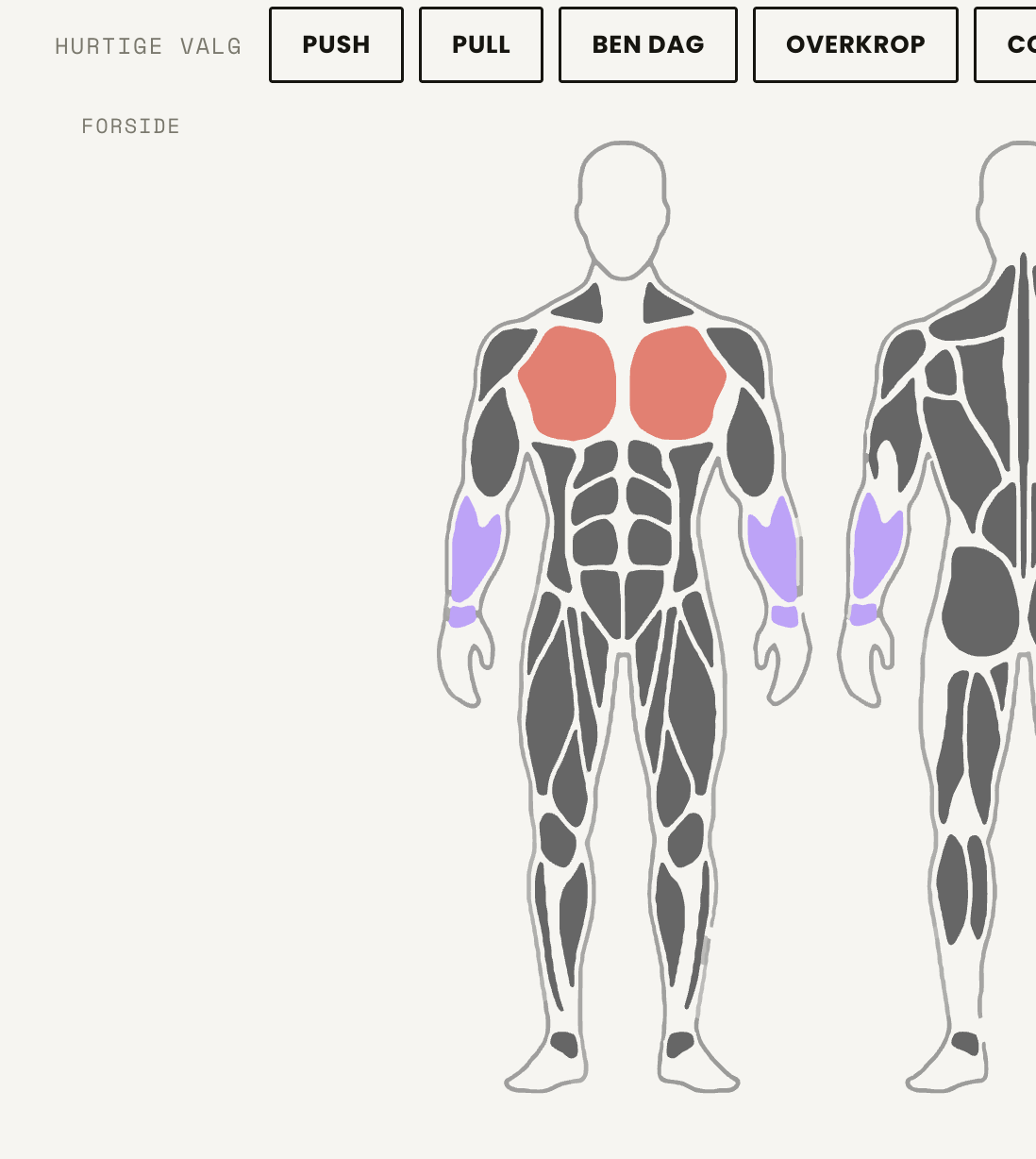 MaxGains – build your programme with an interactive muscle map
